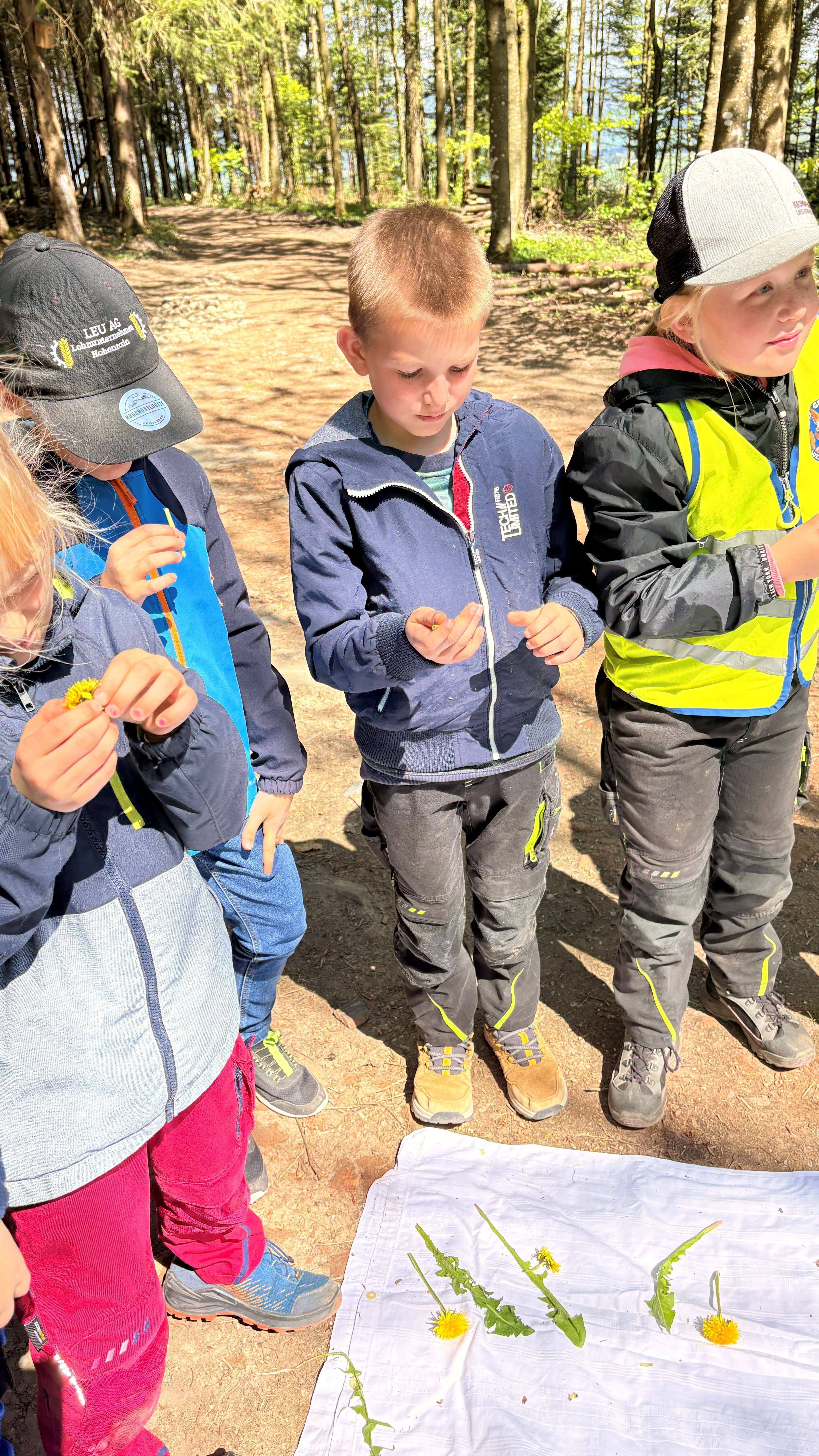 Waldnachmittag 1. Klasse 21.04.2026
