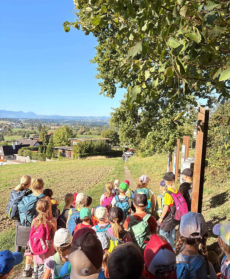 Herbstwanderung Zyklus 1 Hohenrain